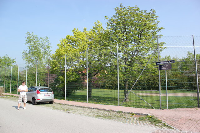 Der untere Bereich des Zauns wurde von der Stadtgemeinde erneuert.