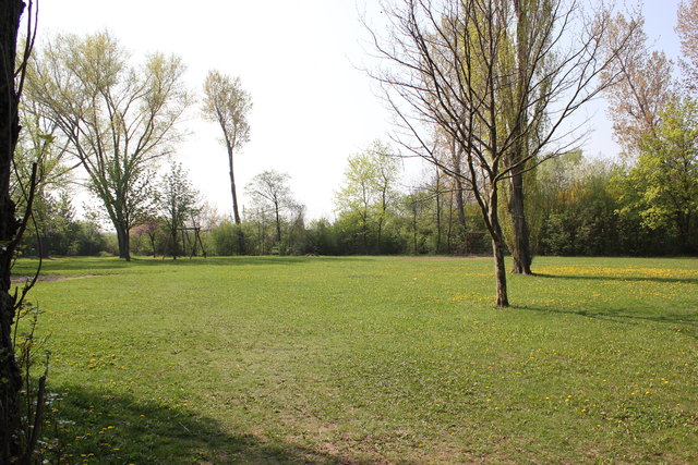 Idylle zwischen Stadtrandsiedlung Traiskirchen und der Schwechat