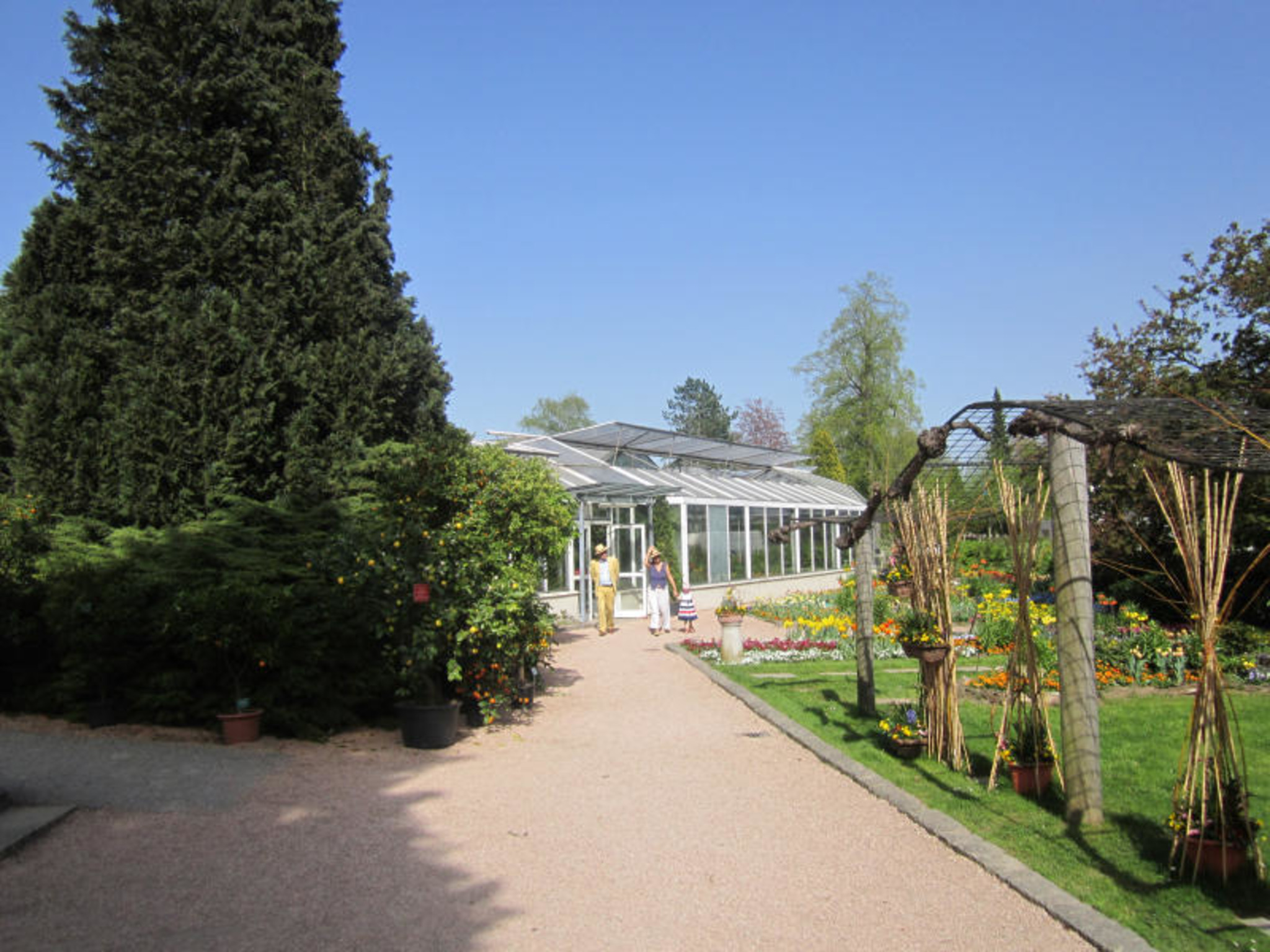 Das Frühlingserwachen im Linzer Botanischen Garten - Linz