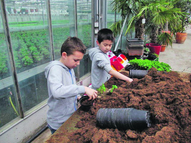 Aleksander und Rashid garteln bei Rizi. | Foto: Rizi