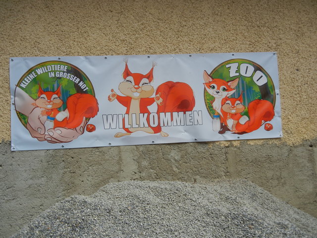 so tierlieb sind die Steirer und kümmern sich um die kleinsten und schwächsten Lebewesen mitten im Leechwald