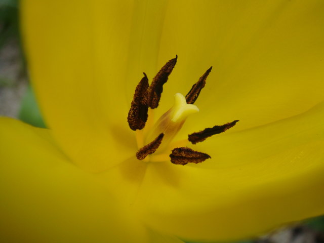 Mittendrin