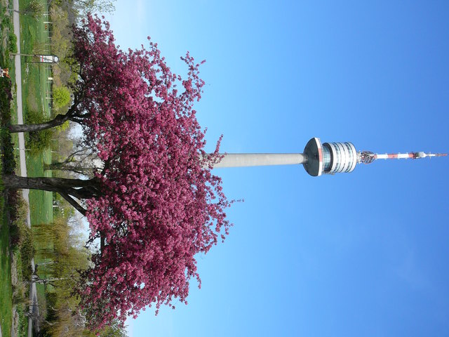 Donaupark im Frühling