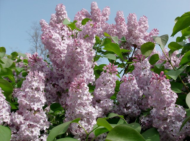 Frühling im Wasserpark.