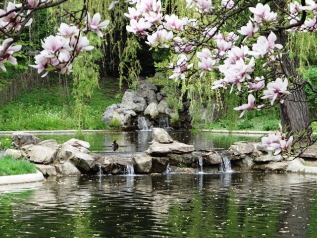 Erwachen im Park