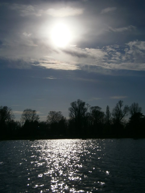 Alte Donau