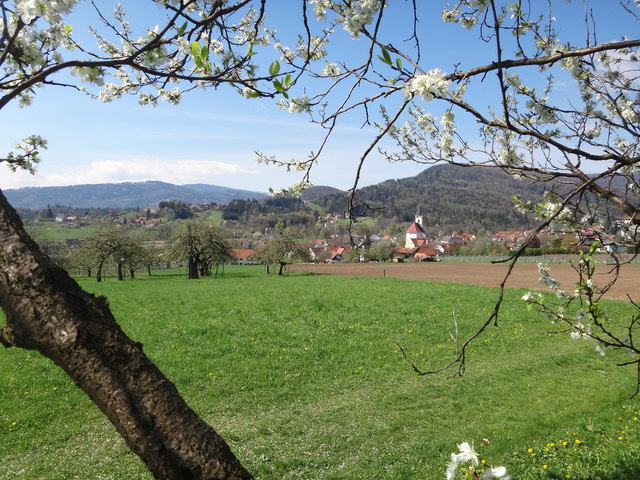 Ein Blick auf Bad Gams