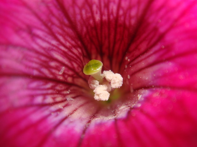 In the middle