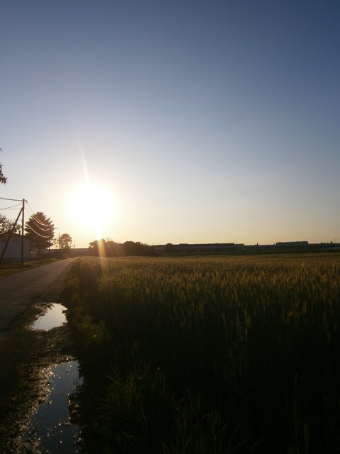 Aspern