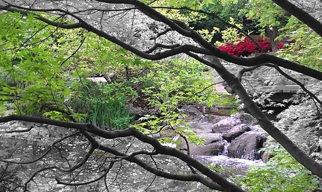 Setagaya Park