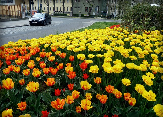 Friedrich-Engels-Platz am 23. April 2013