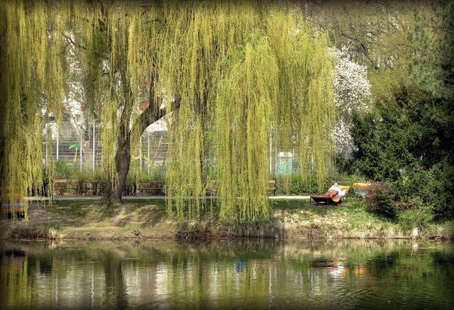 Im Wasserpark in Floridsdorf am 22. April 2013