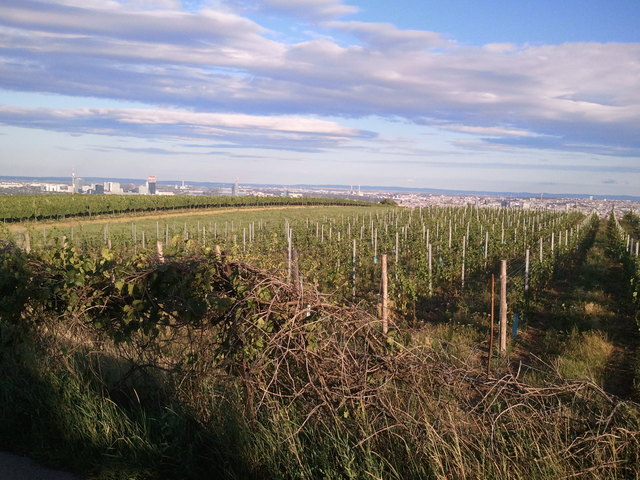 Aussicht vom Nussberg