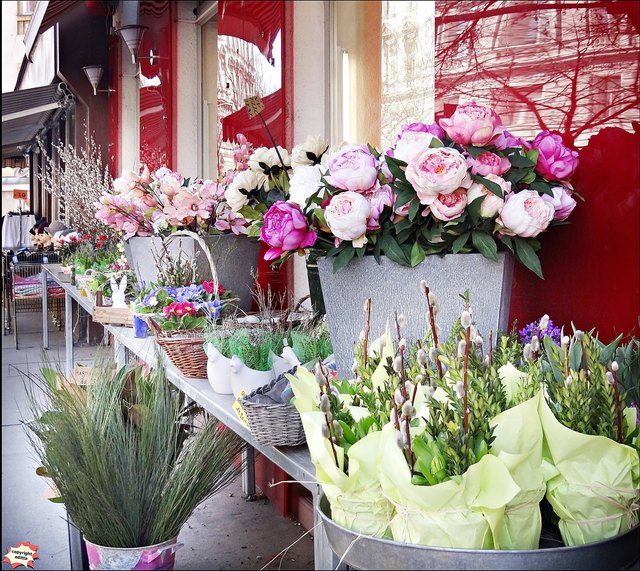 Frühling in der Blumenhandlung