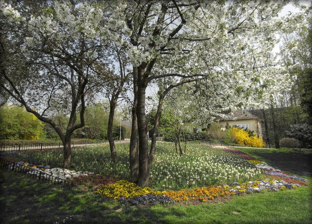 Im Wasserpark in Floridsdorf am 22. April 2013