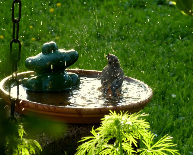 Frühling in Wien ist die Zeit für ein erstes Bad