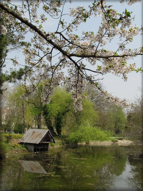 Im Wasserpark in Floridsdorf am 22. April 2013