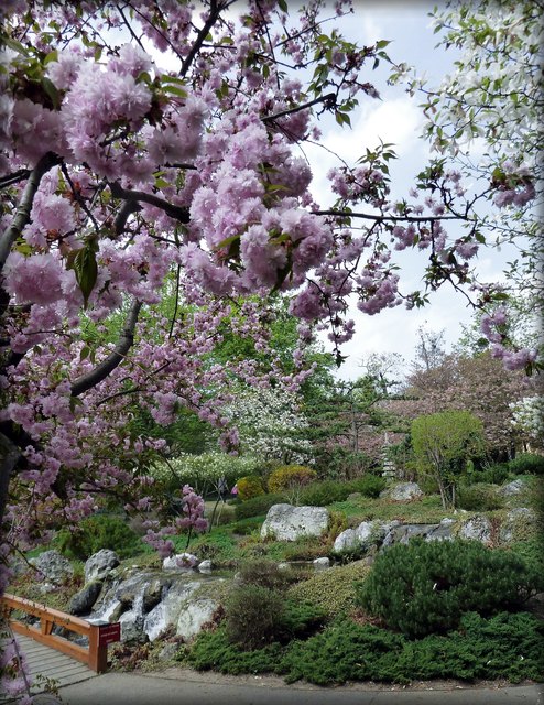 Setagaya Park am 24. April 2013