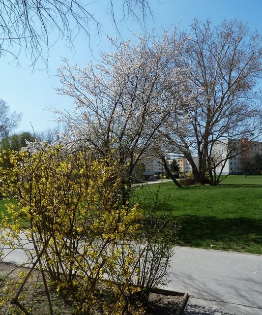 Frühling St. Josef