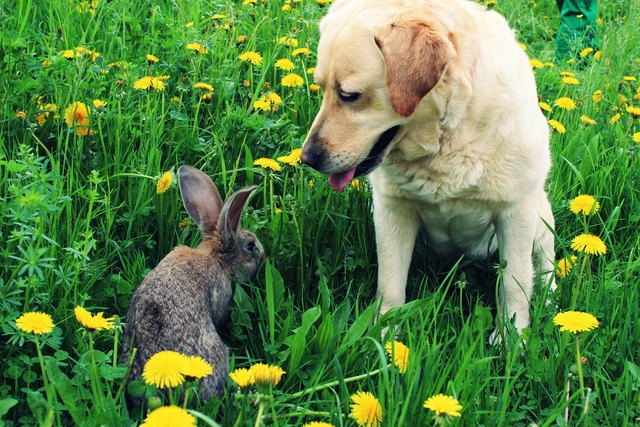 endlich Frühling!