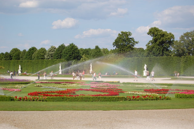 Rainbows and Flowers