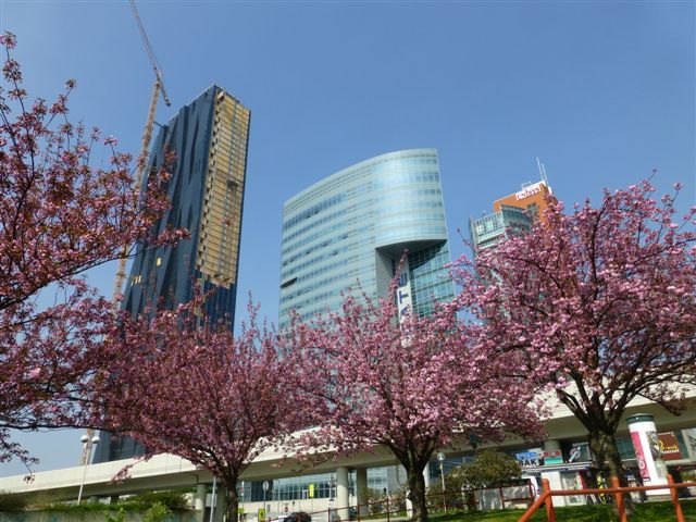 Frühling in der Donaustadt