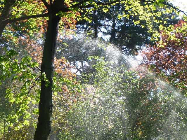 Cooling Water Drops