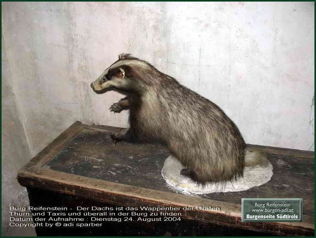 heute gehört die Burg dem Adelsgeschlecht "Thurn und Taxis" - abgeleitet von Turm und Dachs - es gab wohl in Südtirol damals sehr viele Dachse