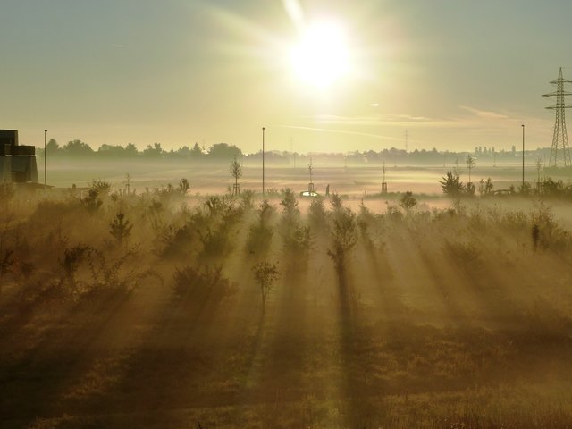 Nebel im Morgengrauen