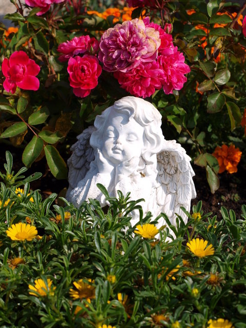 Frühling auch für Engel