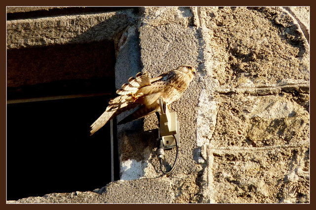 ...vor dem Abflug!
