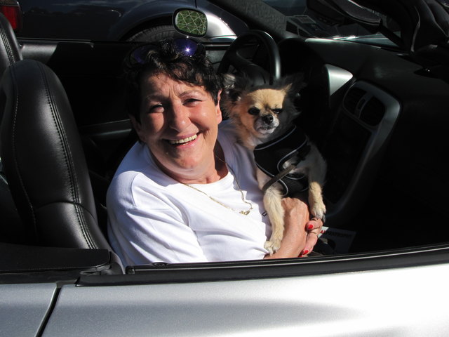 Rita hat nur ein Problem: Hund Timmi fährt NUR Corvette, in ein anderes Auto will er nicht einsteigen!