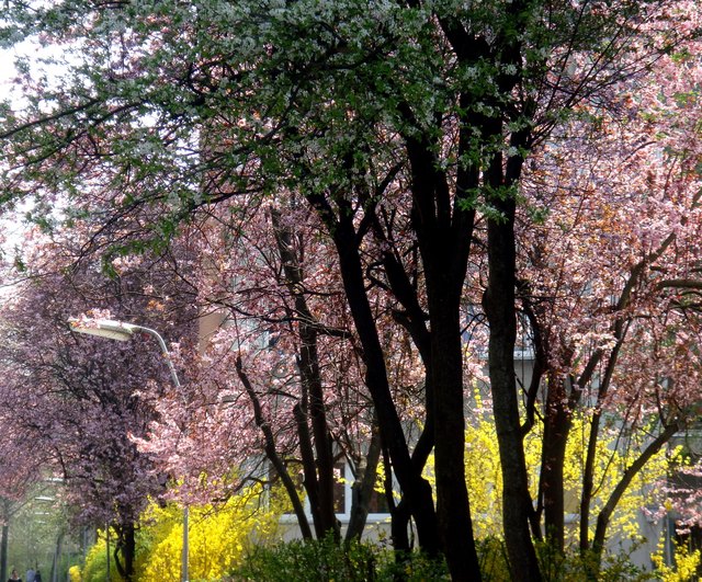 Favoriten in pastell Farben