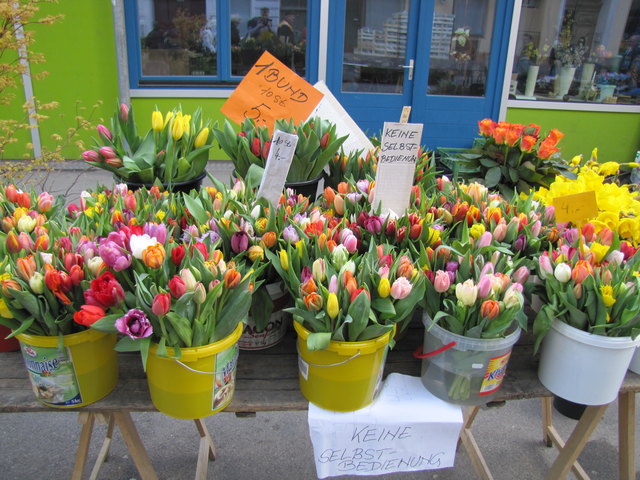 Brunnenmarkt 4.