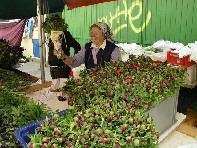 Brunnenmarkt 1.