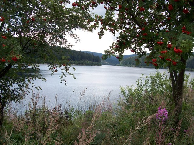 Der Stausee Soboth ist zu jeder Jahreszeit einen Besuch wert.