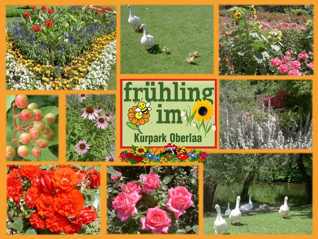Frühling im Kurpark Oberlaa - Langsam färben sich die Wiesen bunt. Ein Treffen mit dem Frühling ...