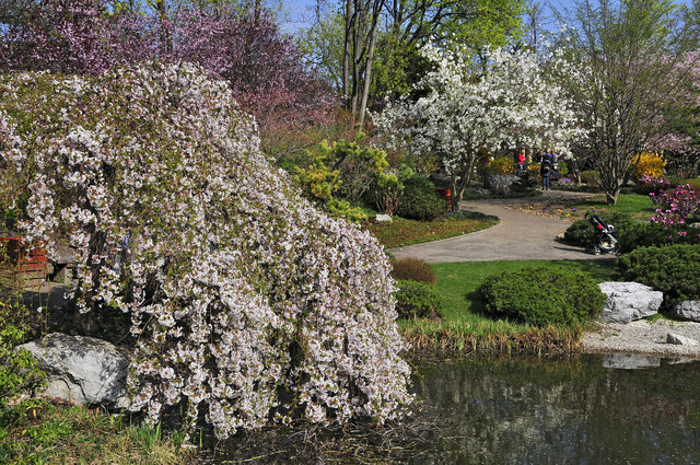 Frühling im Setagaya Park