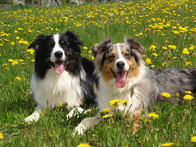 so schen is in da Steiermork ;-)