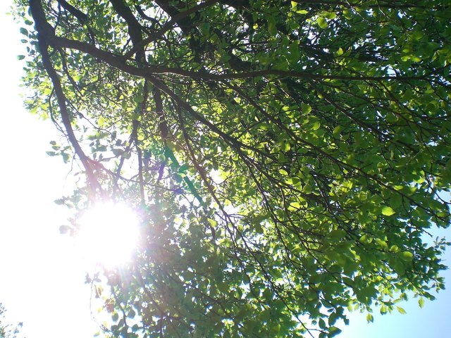Nur eines kann mir das Lernen im Frühling versüßen: die Steinhofgründe!