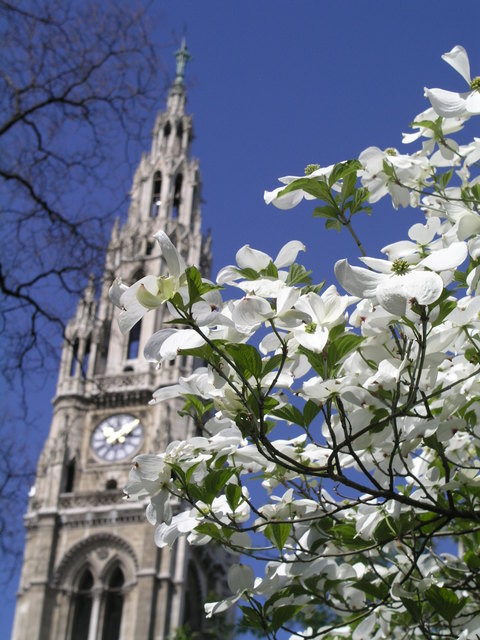 Rathausfrühling