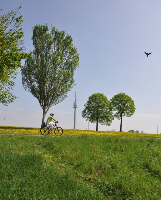 frühling und rad fahren in wien gehören zusammen wie die kirsche und ihr stein