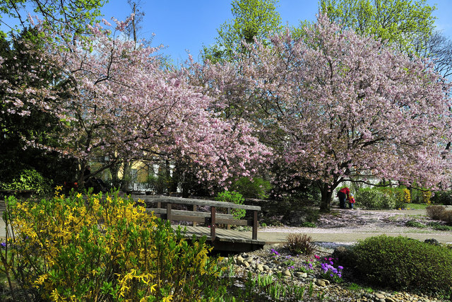 Frühling im Setagaya Park