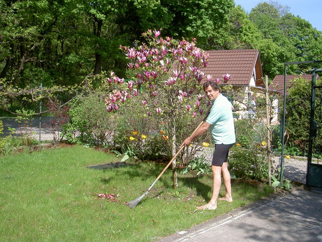 Frühling iin der Stadt - Die Arbeiten im Schrebergarten sind getan - wir freuen uns schon auf den Sommer !t