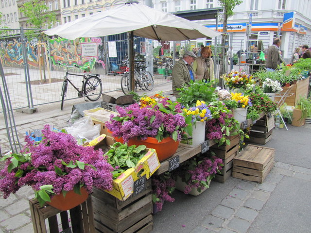 Brunnenmarkt 3.