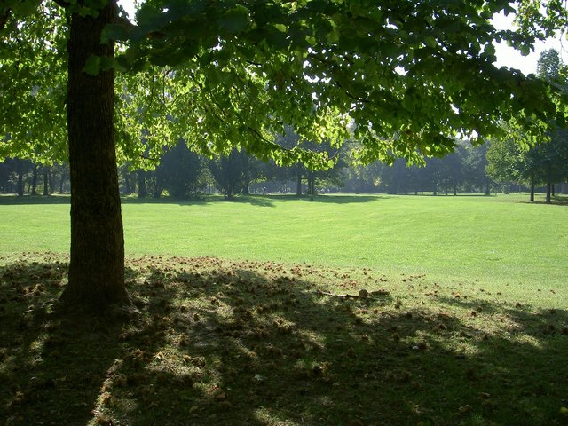 Grüne Wiesen - Der Frühling bringt Licht, Schatten und Farbe ins Jahreszeitenspiel ..