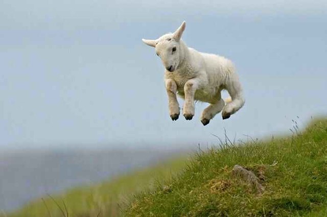 Da freut sich aber jemand auf den Frühling!