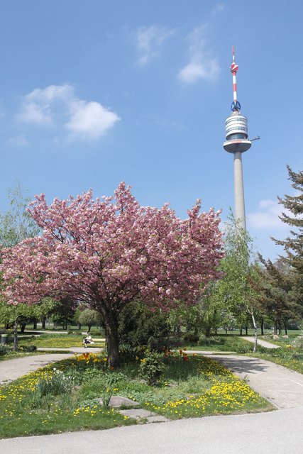 Frühlingserwachen im Donaupark - Die ersten Sonnenstrahlen erwärmen Herz und Seele . . .