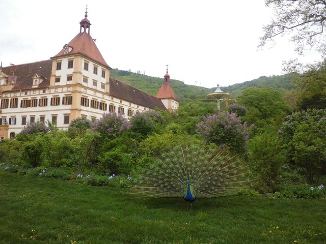 Schloss Eggenberg