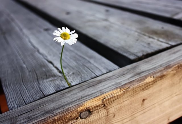 Der Frühling macht stark!